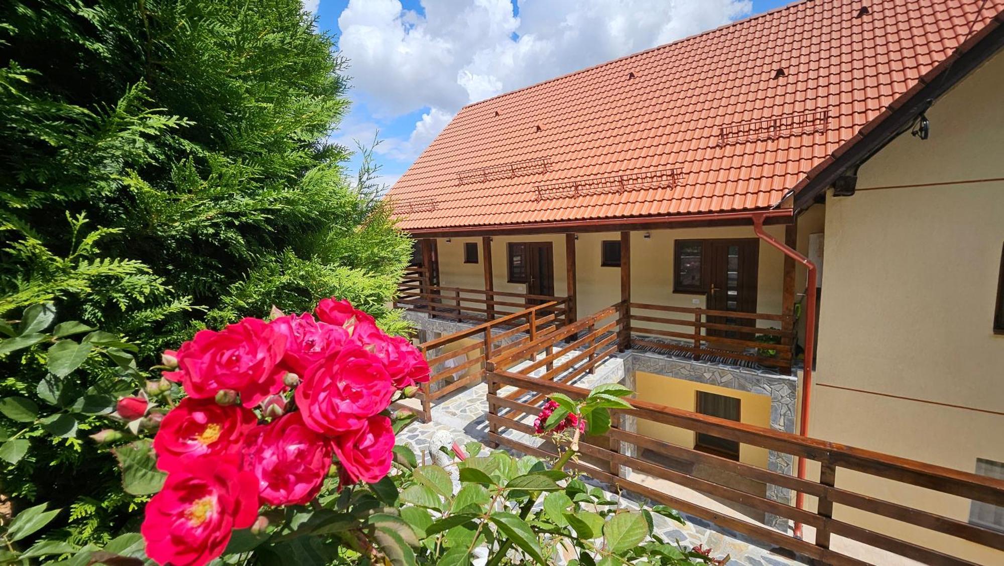 Matei Residence Braşov Exteriör bild
