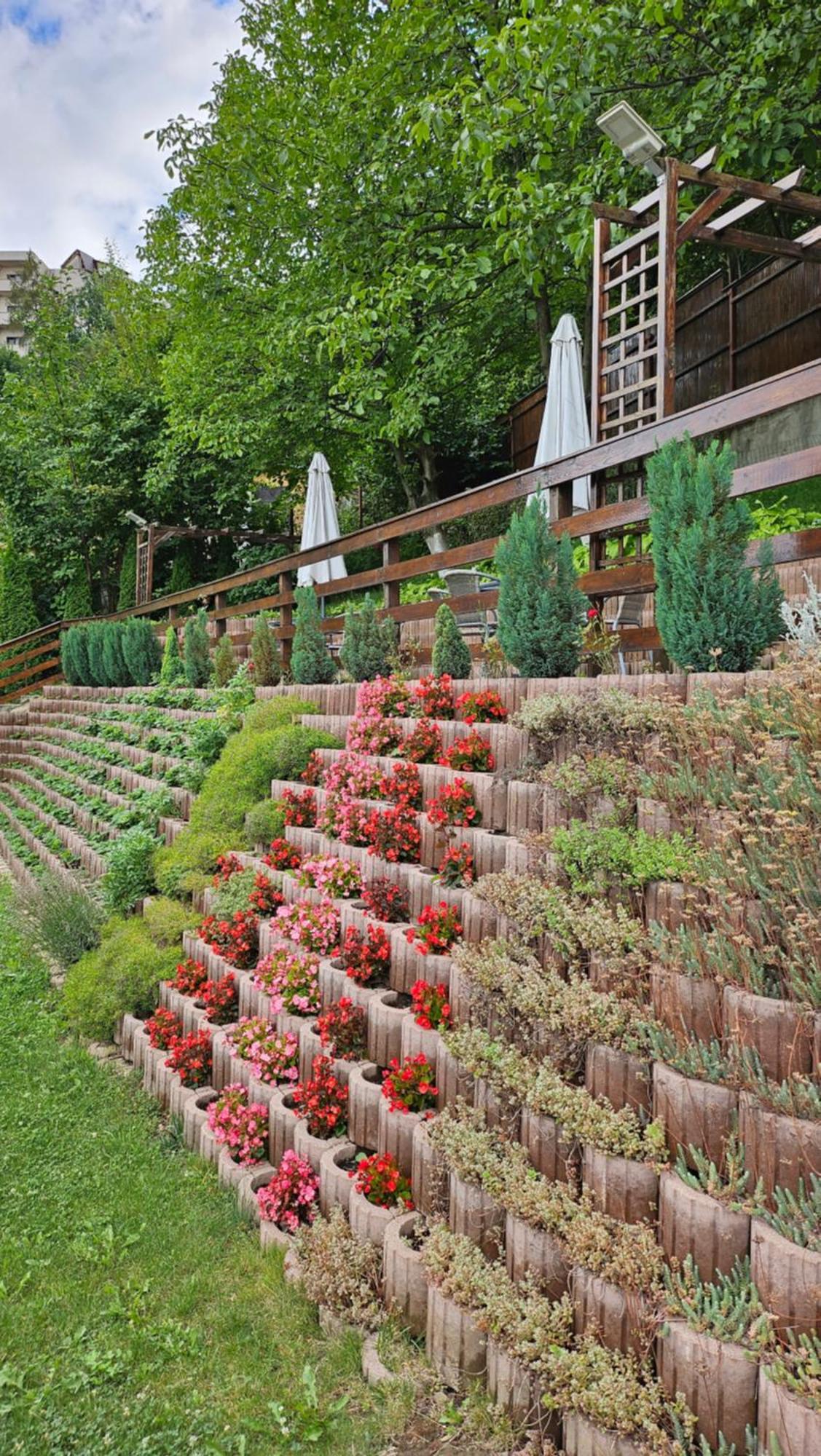 Matei Residence Braşov Exteriör bild