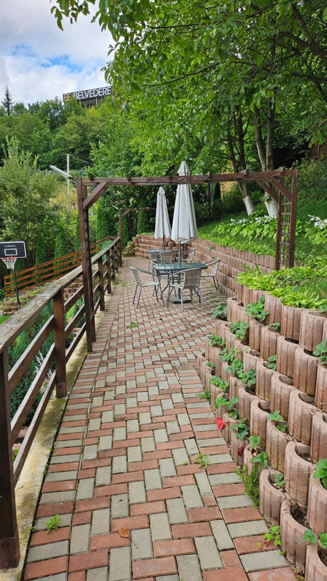Matei Residence Braşov Exteriör bild